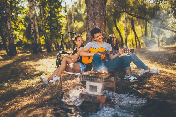 Adolescentes felices haciendo un picnic y tocando la guitarra — Foto de Stock