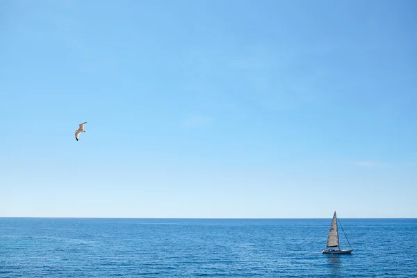 Deniz. Gökyüzü. Kuş. Yat.