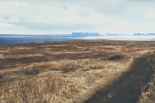 IJslandse typisch landschap. — Stockfoto