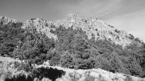 Volcan Malinche Noir Blanc — Photo