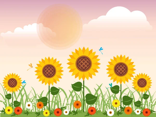 Blumenwiese Mit Gänseblümchen Sonnenblumen Und Libelle Sommer Vector Design — Stockvektor