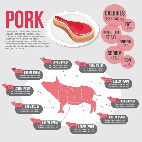 Infografía Para Partes Del Cuerpo Cerdo Nutrición Cerdo — Archivo Imágenes Vectoriales