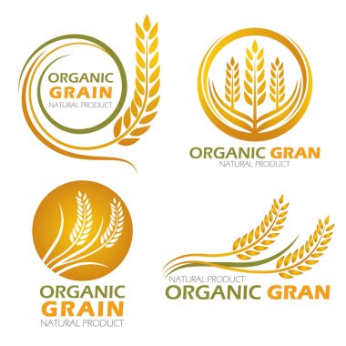 Gold circle paddy rice organic grain products and healthy food banner sign vector set design clipart