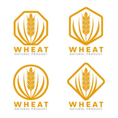 Turuncu buğday pirinç logosu vektör tasarımı