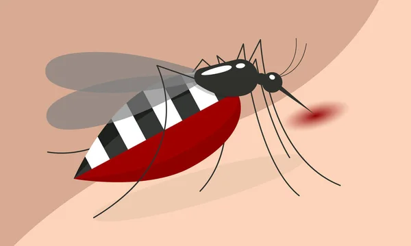 Mosquito Pití Krve Tělo Vektor Design — Stockový vektor