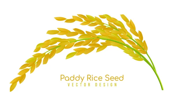 Σχεδιασμός Φορέα Κίτρινου Ρυζιού Paddy — Διανυσματικό Αρχείο