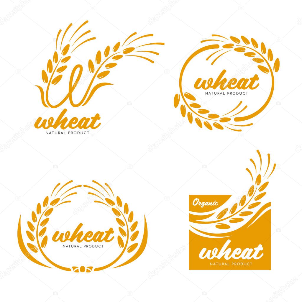 Yellow Paddy Wheat rice grain products food banner sign logo vector art design