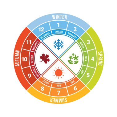 4 season circle diagram chart with icon sign and month time vector design