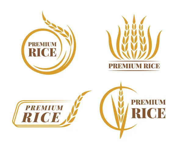 Rice Emblems Labels Badges Collection Gold Paddy Rice Logo Vector — Vector de stock