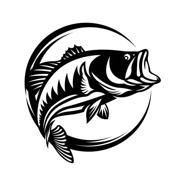 Fishing Logo Barramundi Fish Jump Vector Art Design —  Vetores de Stock