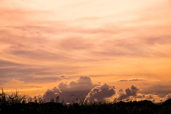 Weiche Orangefarbene Wolken Himmel Und Gras Silhouette Stil — Stockfoto