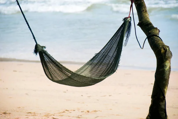 Black Hanging Cradle Tree Beach — Stok Foto