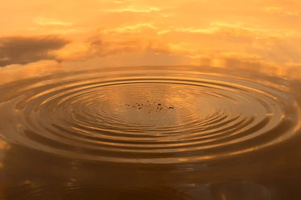 Wassertropfen Fallen Der Abendsonne Mit Reflexion Auf Die Wasseroberfläche — Stockfoto