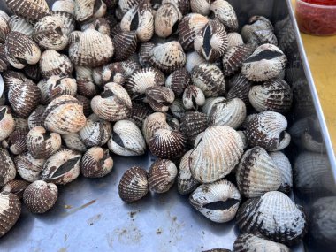 Taze Kan Horozlarını Kapat Geniş Kabuklu Deniz Ürünleri Marketini Göster