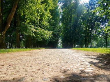 Arazide eski kaldırım taşları