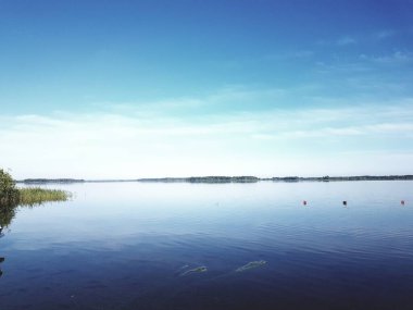Yatıştırıcı. Gölde şafak vakti yüzen balıklarla