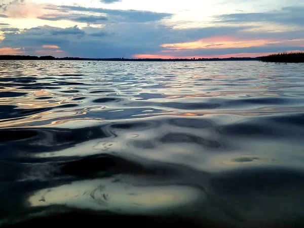 Умиротворение Рассвет Озере Плавающей Рыбой — стоковое фото