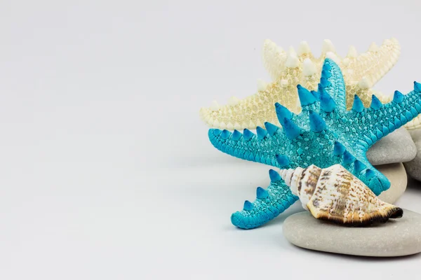 stock image seashells on sand beach