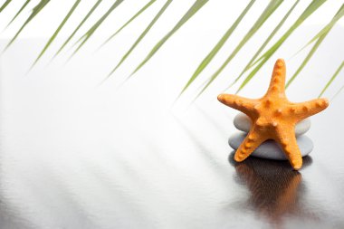 yaz konsepti arka planı