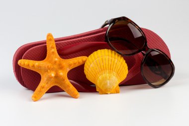 yaz konsepti arka planı