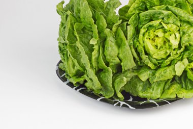 Taze yeşil marul yaprakları