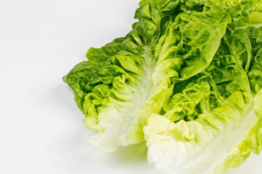 Taze yeşil marul yaprakları