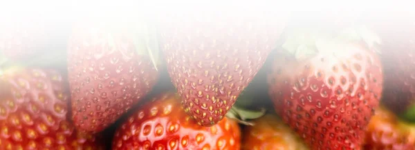 Mitad de fresa aislada sobre fondo blanco — Foto de Stock
