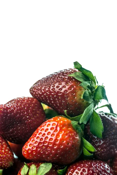 Metà fragola isolata su fondo bianco — Foto Stock