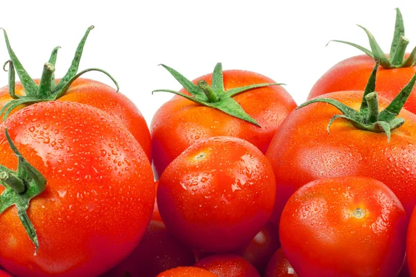 Tomates. Totalmente e meio isolado em branco — Fotografia de Stock