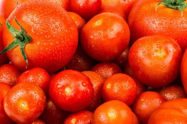 Tomates. Entero y medio aislado en blanco — Foto de Stock