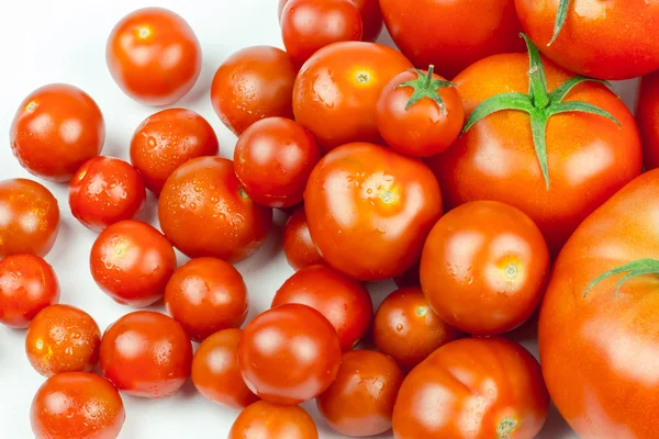 Pomodori. Intero e mezzo isolato su bianco — Foto Stock