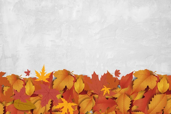 Beautiful autumn background — Stock Photo, Image