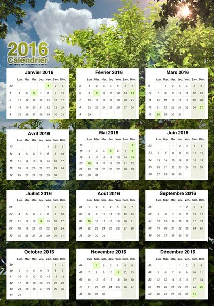 Schöner Kalender 2016 — Stockfoto