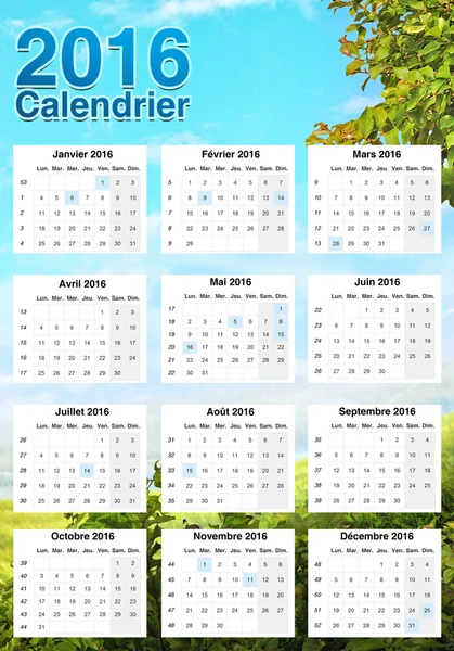 Schöner Kalender 2016 — Stockfoto