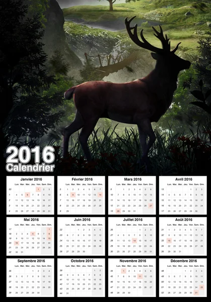 Beautiful calendar 2016 — Stock Photo, Image