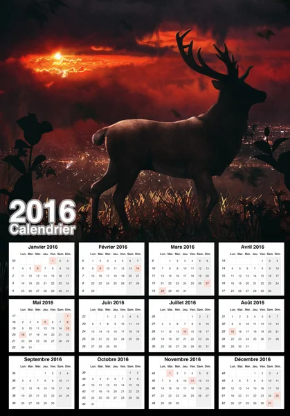 Beautiful calendar 2016 — Stock Photo, Image