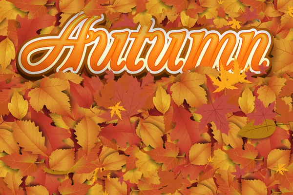 Beautiful autumn background — Stock Photo, Image