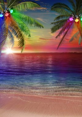 Yeni Beach palm arka plan