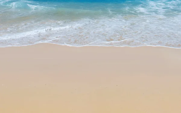 Neuer Strand Palmen Hintergrund — Stockfoto