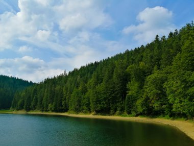 Transcarpathia 'daki gri dağ gölü Synevyr