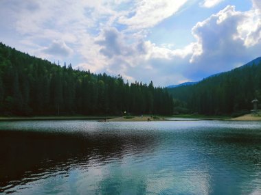 Carpathian Gölü Synevyr karanlık bir ormanı yansıtır