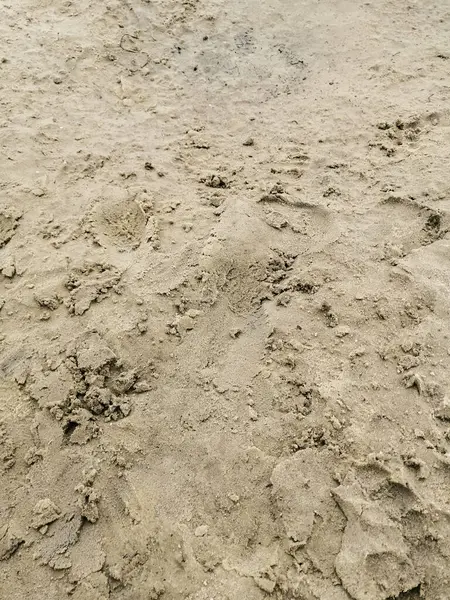 Våt strand sand, lite smutsig — Stockfoto