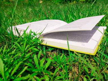 Yeşil çimlerin üzerinde saklı bir kitap var.