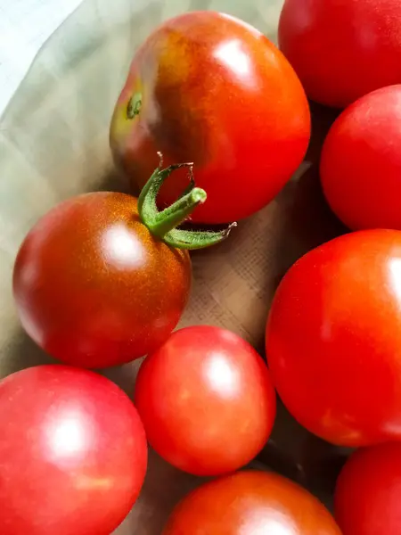 Ernte Der Reifen Roten Tomaten Sommer — Stockfoto
