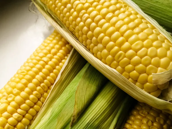 Fiatal Kukorica Fekszik Fehér Háttér — Stock Fotó