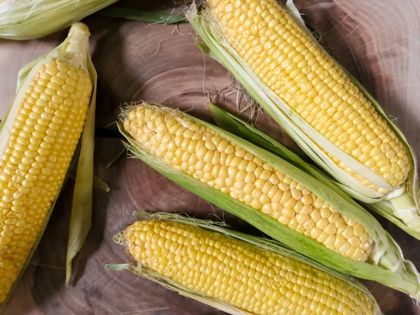 Szüretelt Kukorica Csak Ágyból Feldolgozásra Kész — Stock Fotó