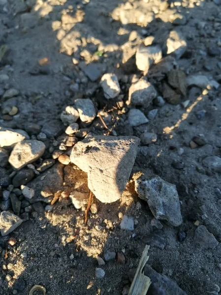 Stenen Form Ett Hjärta Lyses Upp Solens Strålar — Stockfoto