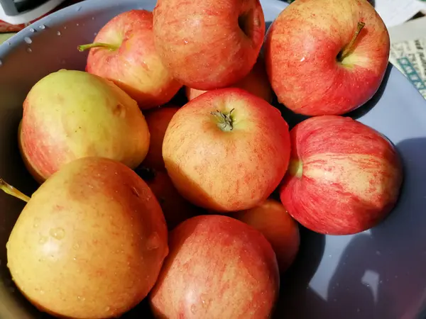 Äpfel Einer Schüssel Nahaufnahme — Stockfoto