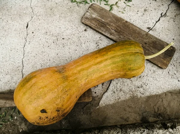 Kürbisgitarre Neben Einem Holzbrett Auf Dem Boden — Stockfoto