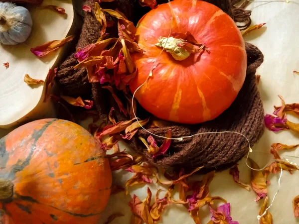 Sammansättning Pumpor Stickad Halsduk Och Torkade Blommor Med Glödlampor — Stockfoto